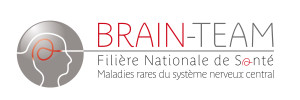 logo_brain_team